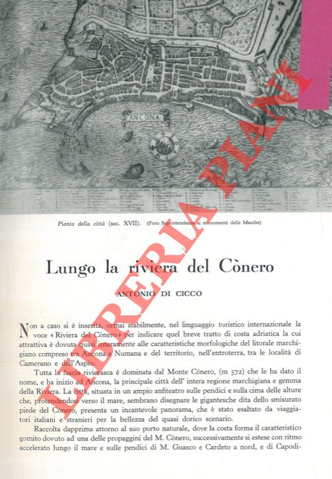 DI CICCO Antonio - - Lungo la Riviera del Conero.