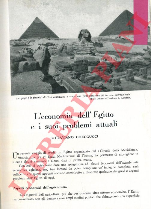 CHECCUCCI Ottaviano - - L'economia dell'Egitto e i suoi problemi attuali.