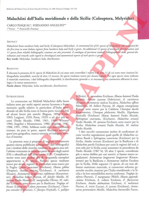 PASQUAL Carlo - ANGELINI Fernando - - Malachiini dell'Italia Meridionale e della Sicilia (Coleoptera, Melyridae) .