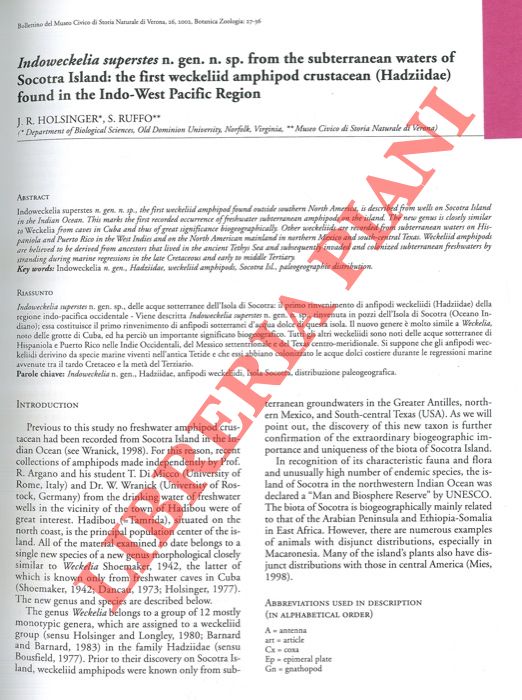 HOLSINGER J. R. - RUFFO S. - - Indoweckelia superstes n. gen. n. sp. from the subterranean waters of Socotra Island: the first weckeliid amphipod crustacean (Hadziidae) found in the Indo-West Pacific Region.