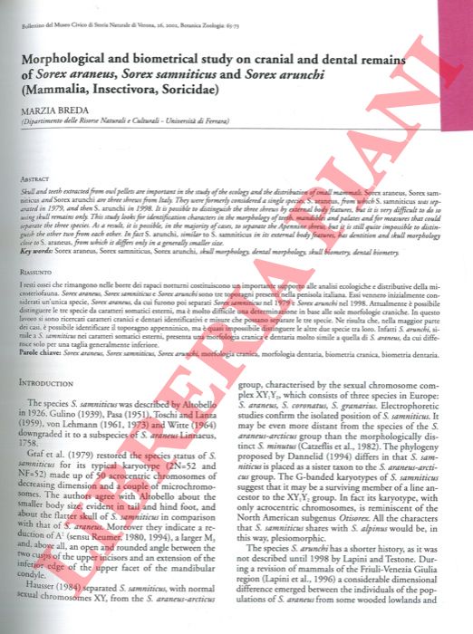 BREDA Marzia - - Morphological and biometrical study on cranial and dental remains of Sorex araneus, Sorex samniticus and Sorex arunchi (Mammalia, Insetivora, Soricidae) .