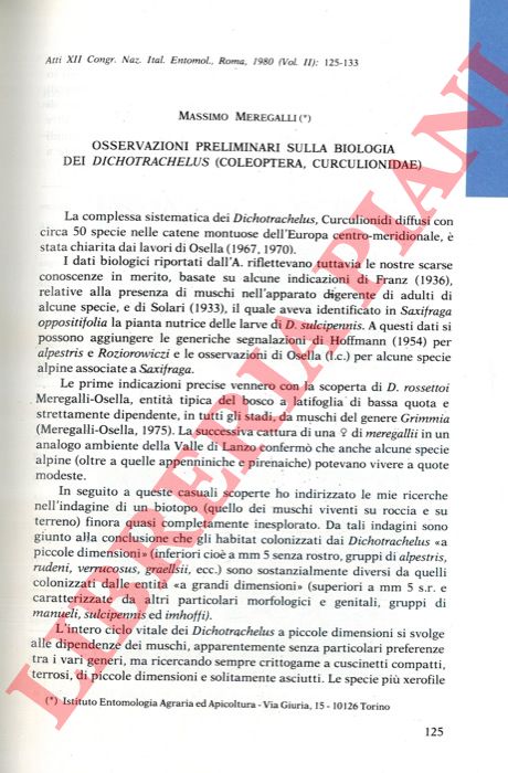 MEREGALLI Massimo - - Osservazioni preliminari sulla biologia dei Dichotrachelus (Coleoptera, Curculionidae) .