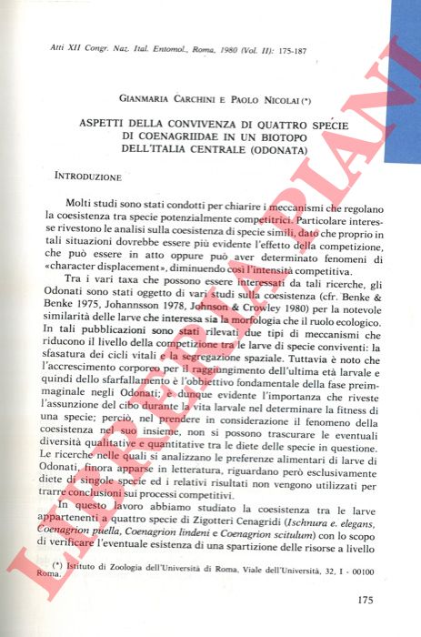 CARCHINI Gianmaria - NICOLAI Paolo - - Aspetti della convivenza di quattro specie di Coenagriidae in un biotopo dell'Italia Centale (Odonata) .