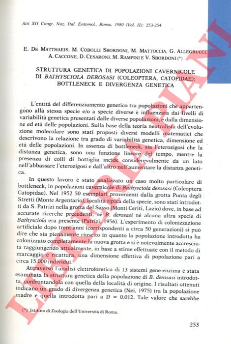 DE MATTHAEIS E. - COBOLLI SBORDONI M. - MATTOCCIA M. - ALLEGRUCCI G. - CACCONE A. - CESARONI D. - RAMPINI M. - SBORDONI V. - - Struttura genetica di popolazioni cavernicole di Bathysciola derosasi (Coleoptera, Catopidae): bottleneck e divergenza genetica.