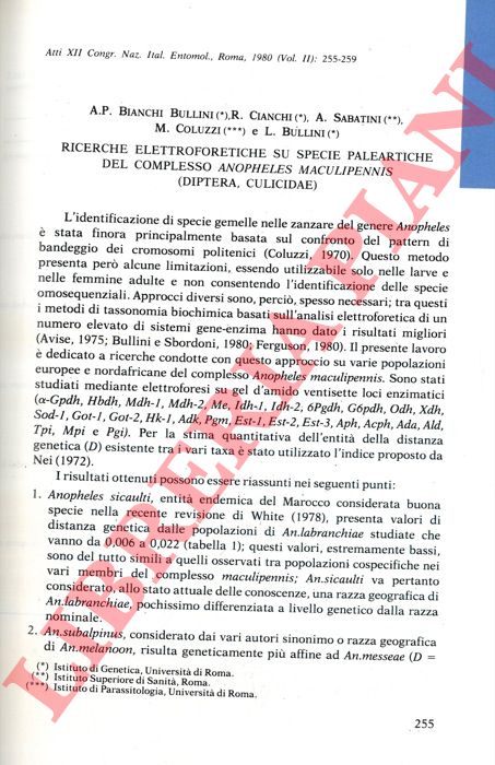 BIANCHI BULLINI A. P. - CIANCHI R. - SABATINI A. - COLUZZI M. - BULLINI L. - - Ricerche elettroforetiche su specie paleartiche del complesso Anopheles maculipennis (Diptera, Culicidae) .