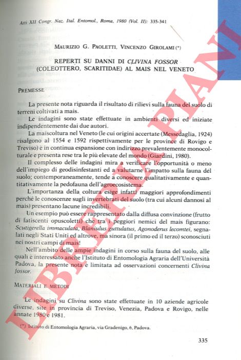 PAOLETTI Maurizio G. - GIROLAMI Vincenzo - - Reperti su danni di Clivina fossor (Coleottero Scaritidae) al mais nel Veneto.