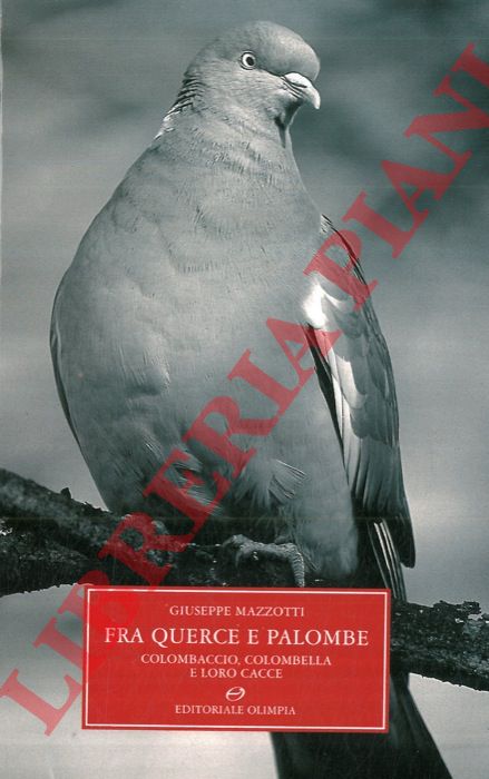 MAZZOTTI Giuseppe - - Fra querce e palombe. Colombaccio, colombella e loro cacce.
