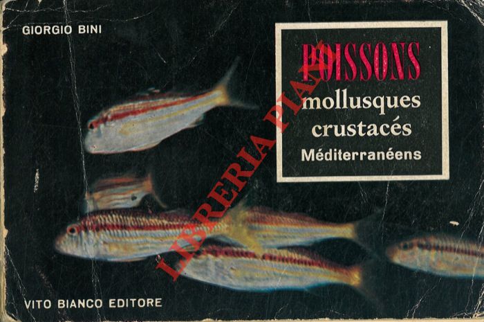 BINI Giorgio - - Catalogue des noms des poissons mollusques et crustacs d'importance commerciale en Mditerrane.