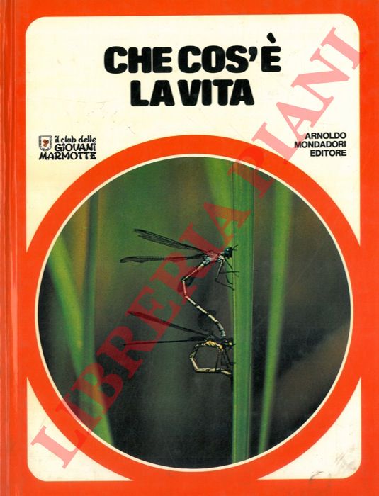 - - Che cos' la vita.