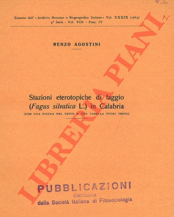 AGOSTINI Renzo - - Stazioni eterotopiche di faggio ( Fagus silvatica L. ) in Calabria.