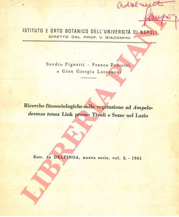 PIGNATTI Sandro - PEDROTTI Franco - LORENZONI Gian Giorgio - - Ricerche fitosociologiche sulla vegetazione ad Ampelodesmos tenax Link presso Tivoli e Sezze nel Lazio.