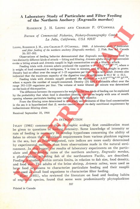 RODERICH J. H. Leong - O'CONNELL Charles - - A Laboratory Study of Particulate and Filter Feeding of the Northern Anchovy (Engraulis mordax) .