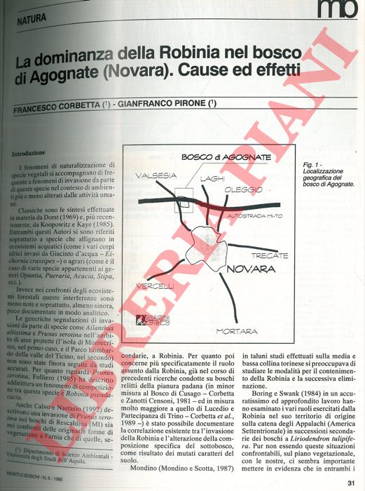 CORBETTA Francesco - PIRONE Gianfranco - - La dominanza della Robinia nel bosco di Agognate (Novara) . Cause ed effetti.