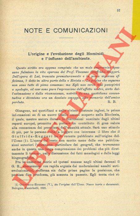 GIUFFRIDA RUGGERI Vincenzo - BIASUTTI Renato - - L'origine e l'evoluzione degli Hominidi e l'influsso dell'ambiente.