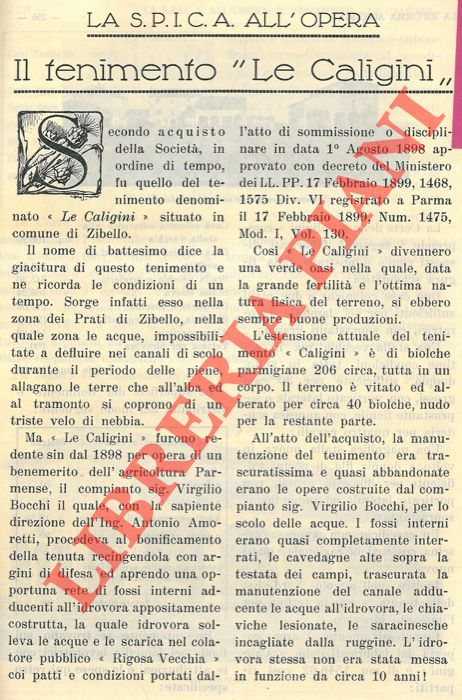 GENNARI Giulio - - La S.P.I.C.A. all'opera. Il tenimento 'Le Caligini' .