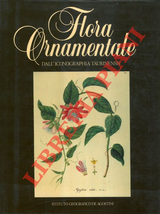(MONTACCHINI Franco - FORNERIS Giuliana) - - Flora ornamentale dall'Iconografia Taurinensis.