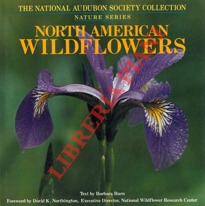 BURN Barbara - - North American Wildflowers.