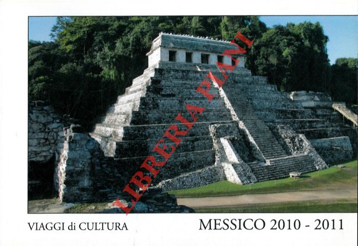 DOMENICI Davide -CAMMELLI Stefano - - Messico 2010-2011.