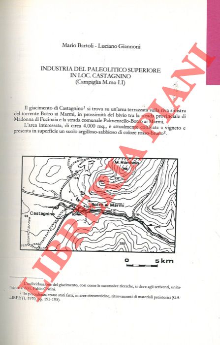 BARTOLI Mario - GIANNONI Luciano - - Industria del Paleolitico Superiore in loc. Castagnino (Campiglia M.ma-LI) .