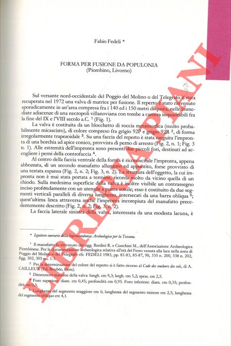 FEDELI Fabio - - Forma per fusione da Populonia.