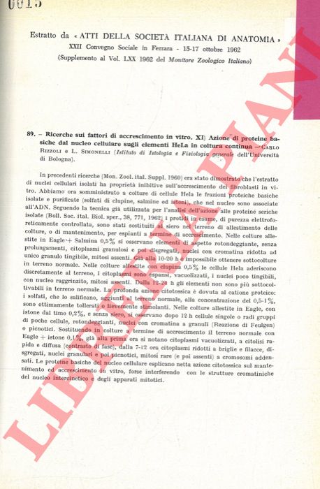 RIZZOLI Carlo - SIMONELLI L. - - Ricerche sui fattori di accrescimento in vitro. Azione di proteine basiche dal nucleo cellulare sugli elementi Hela in coltura continua.
