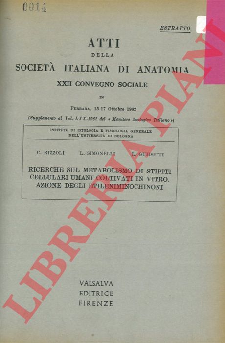 RIZZOLI C. - SIMONELLI L. - GUIDOTTI L. - - Ricerche sul metabolismo di stipiti cellulari umani coltivati in vitro. Azione degli etileni-minochinoni.