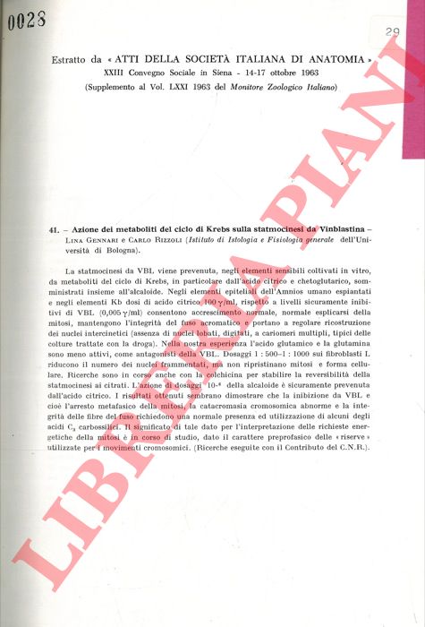 GENNARI Lina - RIZZOLI Carlo - - Azione dei metaboliti del ciclo di Krebs sulla statmocinesi da Vinblastina.