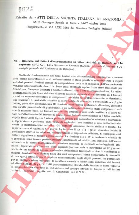 GUIDOTTI Lina - MANZOLI F. Antonio - - Ricerche sui fattori d'accrescimento in vitro. Attivit di frazioni seriche separate all'U.C. .