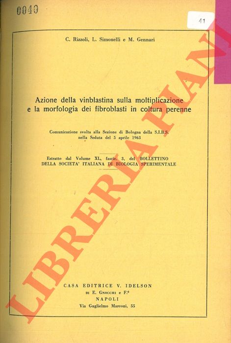 RIZZOLI C. - SIMONELLI L. - GENNARI L. - - Azione della Vinblastina sulla moltiplicazione e la morfologia dei fibroblasti in coltura perenne.