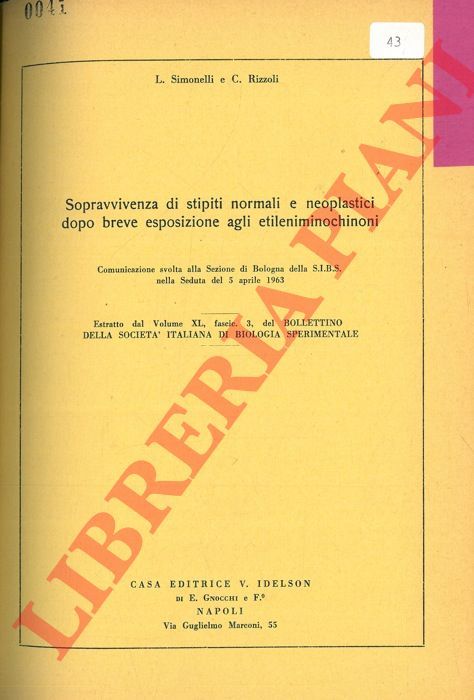 SIMONELLI L. - RIZZOLI C. - - Sopravvivenza di stipiti normali e neoplastici dopo breve esposizione agli etileniminochinoni.