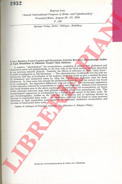 RIZZOLI Carlo - CARINCI Paolo - MANZOLI Francesco Antonio - - Histochemical studies of Lipid Metabolism in Ethionine treated Chick Embryos.