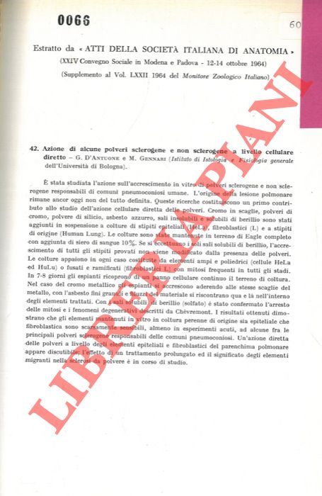 D'ANTUONE G. - GENNARI M. - - Azione di alcune polveri sclerogene e non sclerogene a livello cellulare diretto.