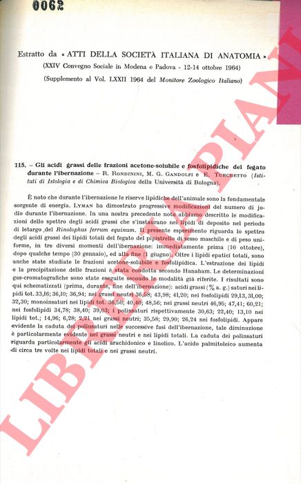RONDININI R. - GANDOLFI M. G. - TURCHETTO E. - - Gli acidi grassi delle frazioni acetone-solubili e fosfolipidiche del fegato durante l'ibernazione.