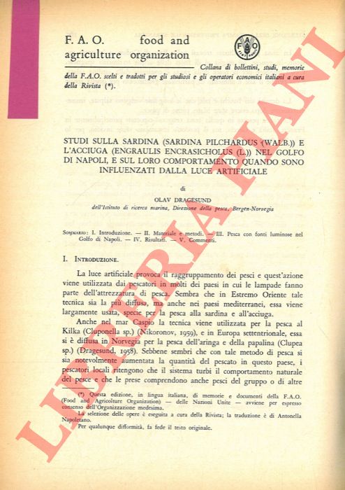 DRAGESUND Olav - - Studi sulla sardina (Sardina pilchardus (Walb.) e l'acciuga (Engraulis encrasicholus (L.) nel Golfo di Napoli e sul loro comportamento quando sono influenzate dalla luce artificiale.