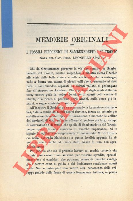 SPADA Leonello - - I fossili pliocenici di San Benedetto del Tronto.