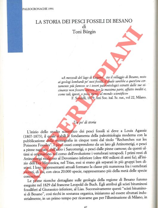 BURGIN Toni - - La storia dei pesci fossili di Besano.