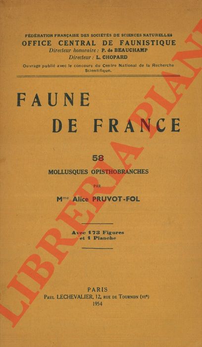 PRUVOT-FOL Alice - - Mollusques opisthobranches.