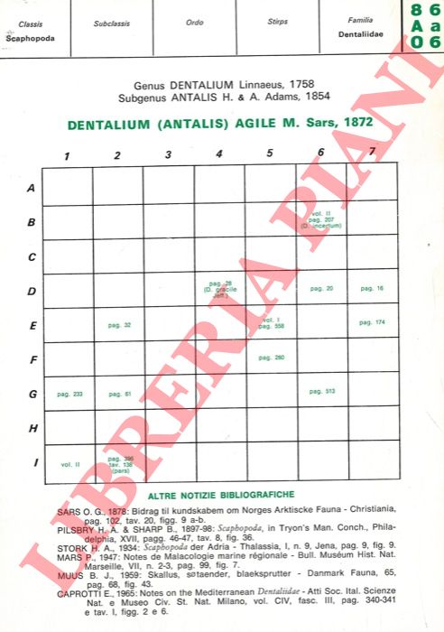 CAPROTTI Erminio - - Schede malacologiche del Mediterraneo. Dentalium : agile, dentalis, inaequicostatum, panormum, rossati, rubescens, vulgare.