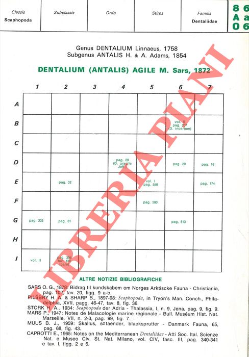 CAPROTTI Erminio - - Schede malacologiche del Mediterraneo. Dentalium : agile, inaequicostatum, panormum, rossati, rubescens, vulgare.