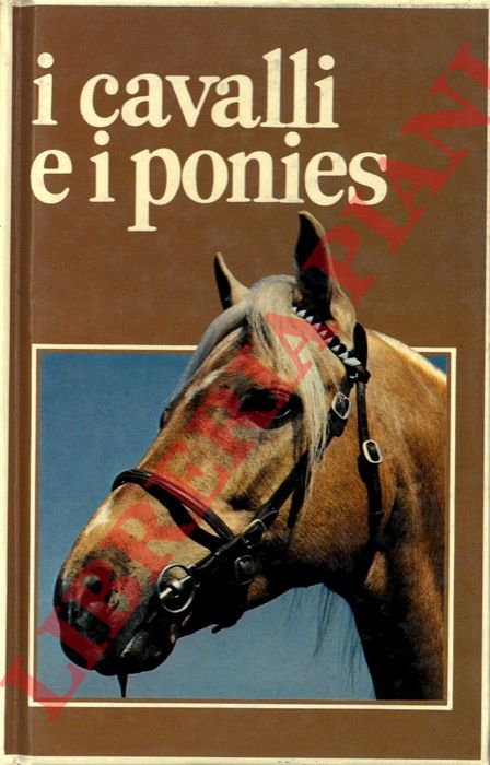 (HENSCHEL Georgie) - - I cavalli e i ponies.