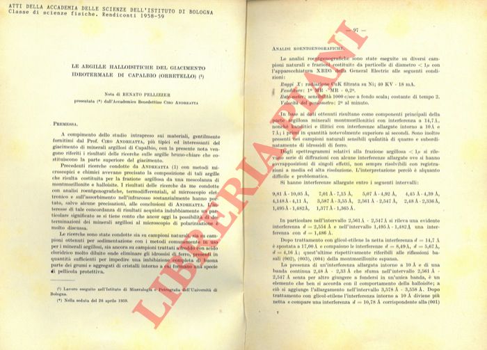 PELLIZZER Renato - - Le argille halloisitiche del giacimento idrotermale di Capalbio (Orbetello)