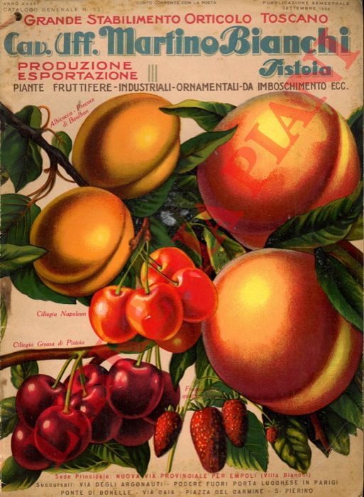Grande Stabilimento Orticolo Toscano Cav. Uff. Martino Bianchi. Pistoia - - Catalogo generale n 53.