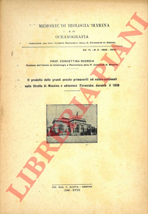 SCORDIA Concettina - - Il prodotto delle grandi pesche primaverili ed estivo-autunnali nello Stretto di Messina e adiacenze Tirreniche durante il 1939.