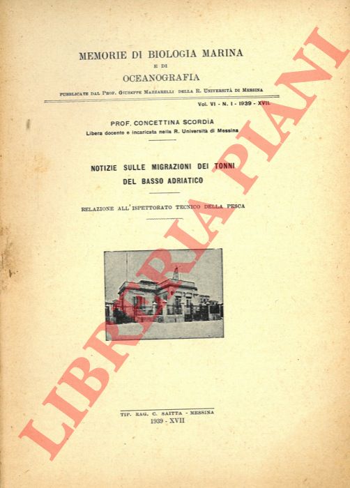SCORDIA Concettina - - Notizie sulle migrazioni dei tonni del Basso Adriatico.