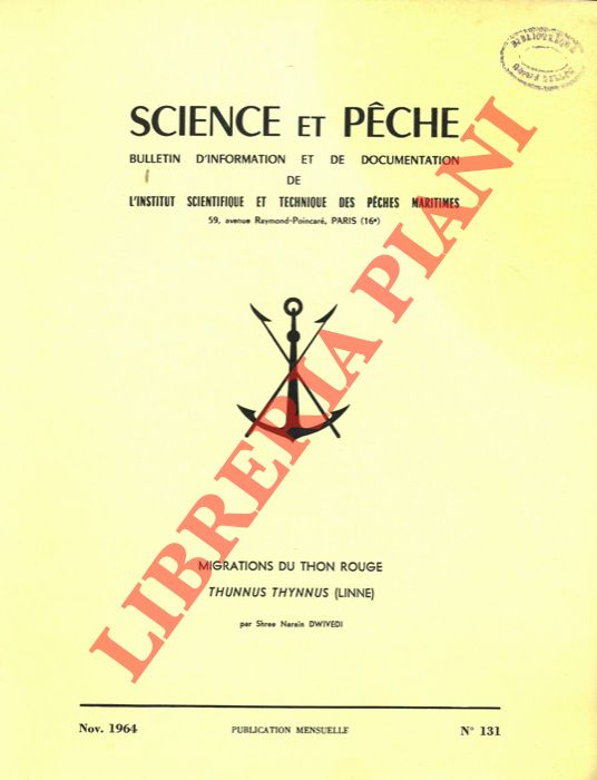 DWIVEDI Shree Narain - - Migration du Thon rouge (Thunnus thunnus (Linn).
