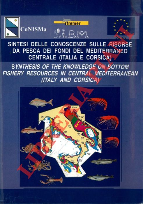 - - Sintesi delle conoscenze sulle risorse da pesca dei fondi del Mediterraneo Centrale (Italia e Corsica). Synthesis of the knowledge on bottom fishery resources in Central Mediterranean (Italy and Corsica)