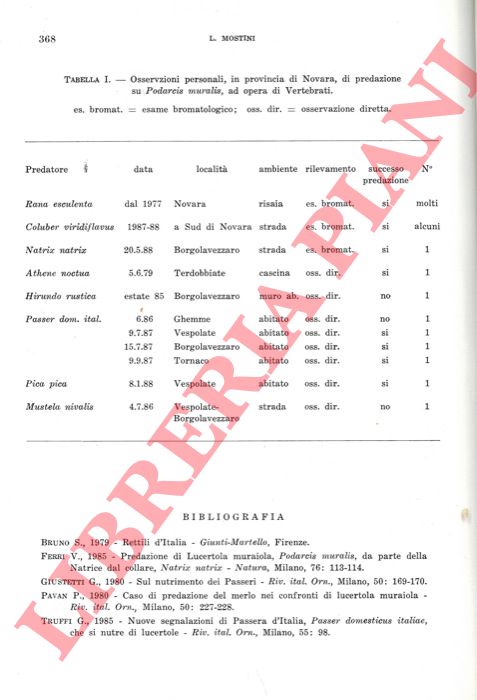 PLINI Paolo & TONDI Giancarlo - - Primi dati sulla gerarchizzazione del reticolo idrografico e sulle condizioni evolutive dell'Alto bacino del F. Tronto (Appennino laziale).