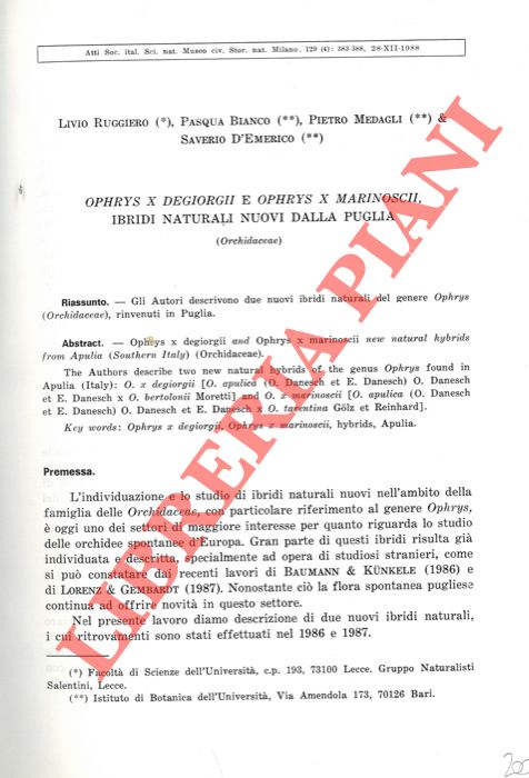RUGGIERO Livio - PASQUA Bianco - MEDAGLI Pietro - D'EMERICO Saverio - - Ophrys x degiorgii e Orphys x marinoscii ibridi naturali nuovi dalla Puglia.