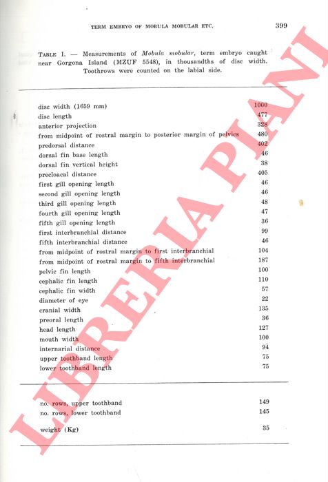 Centro Studi Cetacei - - Cetacei spiaggiati lungo le coste italiane. II. Rendiconto 1987.