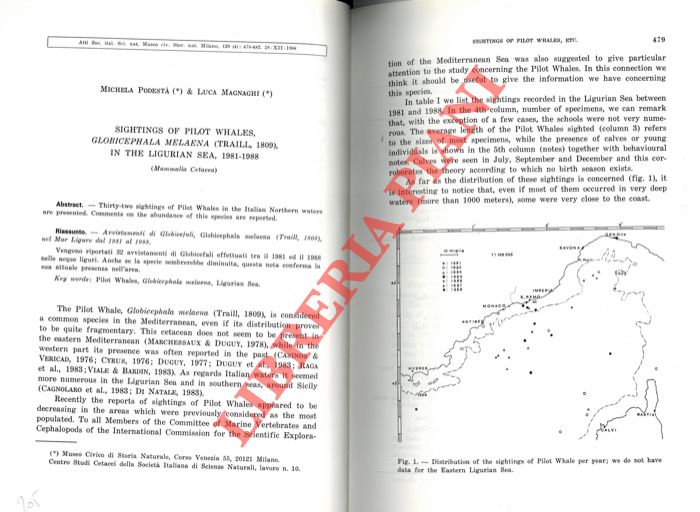 PODESTA' Michela - MAGNAGHI Luca - - Sightings of Pilot Whales, Globicephala melaena (Traill, 1809), in the Ligurian Sea, 1984 - 1988.